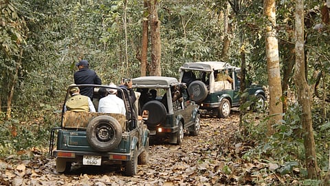 Kaziranga is welcoming tourists again for the new season, with jeep safaris already underway and elephant safaris set to resume soon | Representational image/X/@kaziranga_