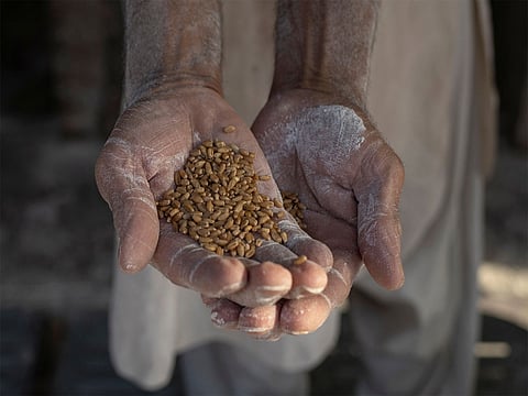 Authorities had begun monitoring major dealers and warehouses amid allegations that traders were deliberately restricting supplies to drive up prices