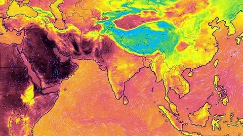 Global weather agency warns of widespread disruption to rainfall and temperature patterns, with droughts, floods and extreme heat possible