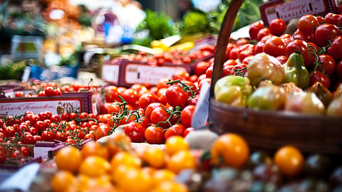 Report says impact on food markets will emerge gradually as farmers face higher input costs, supply shortages and uncertain harvests
