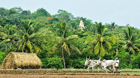 ಕೃಷಿ ಚಟುವಟಿಕೆಗಳಿಗೆ ಮುನ್ನುಡಿ ಬರೆಯುವ ಯುಗಾದಿ
