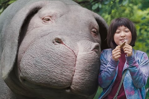 4 Reasons Why Netflix Movie Okja Gets The Animal Rights Movement Perfectly