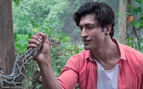 Junglee Movie Review: Impressive Elephants But Not Much Else