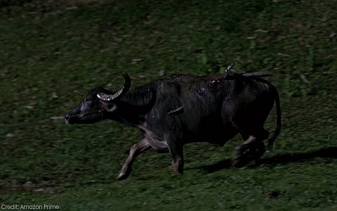 Jallikattu’s Art Director Deconstructs The Making Of That Rs 20-Lakh Animatronic Bull