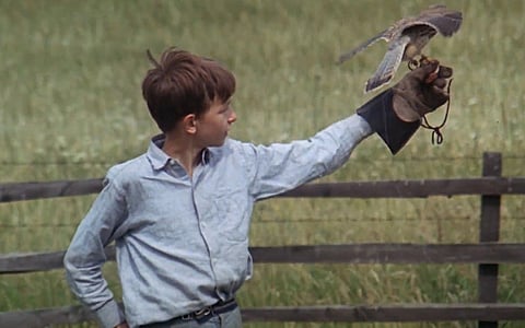 What Makes Us Our Brother’s Executioner? On Ken Loach’s Kes