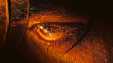 Vijay Sethupathi in Jawan