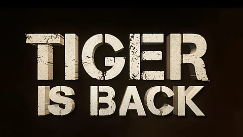 Tiger 3
