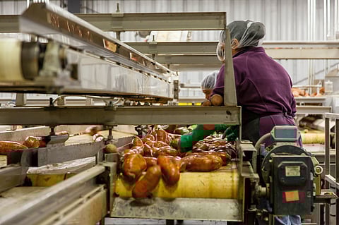 The ministry has approved 23 cold chain projects, 3 agro-processing clusters, 22 food processing units, 6 creation of backward and forward linkages projects, and 9 food test laboratory projects in Uttar Pradesh under corresponding component schemes PMKSY.