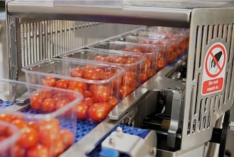 Proseal tray-sealing soft fruit tomatoes