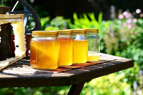 Eminent scientists, food experts term honey as Ambrosia, in a highly successful series of four webinars ‘Hive to Home’ organized by India Honey Alliance.