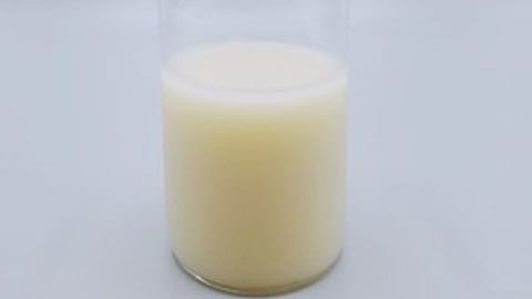 The milk alternative dairy replacement was made with Sophie's Bionutrients signature micro-algae protein flour with the same essential amino acids as micro-algae.