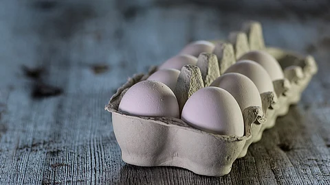 Huhtamaki's new facility will be located close to one of South Africa’s main export ports, enabling competitive exports of egg packaging for customers across East Africa.