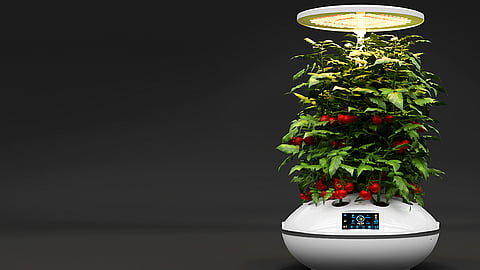 Agro2o - Smart garden
for urban homes