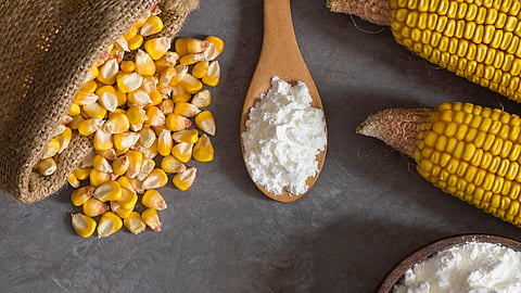 GEA’s ATC solution features on-the-fly, automated correction of the differential speed using active torque control to ensure an optimal working point while avoiding stick-slip.