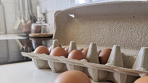 Smilepack, a 100% plastic free molded fiber egg carton