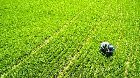 Corbion and Truterra are partnering to support the adoption and success of sustainable agriculture practices among farmers within Corbion's US soybean supply shed.