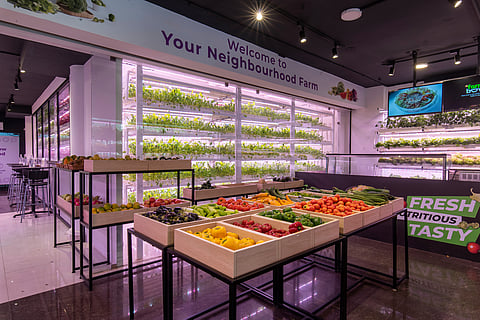 BASF invests in Indian hydroponics pioneer UrbanKisaan