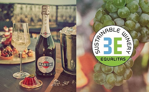 There is a deep connection between MARTINI, the land and the people – it’s a solid foundation for making quality wine