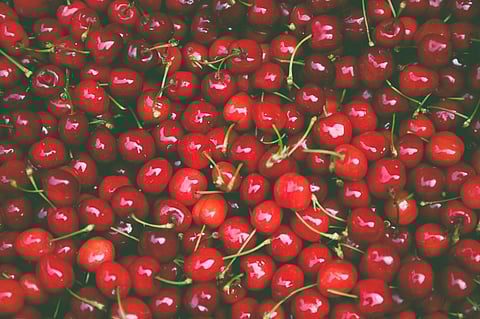 Mishri variety of cherries exported to Dubai