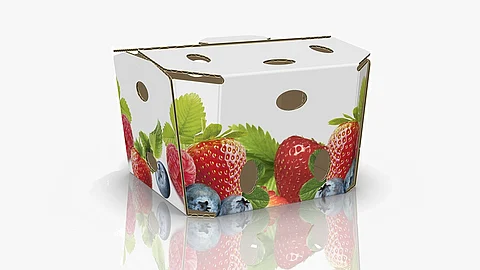 Stora Enso Eco Fresh Box