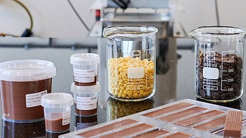 BENEO eyes innovation opportunities in bakery & dairy-free chocolate