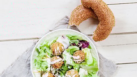 Symrise reinforces its taste solutions for satisfying plant protein products