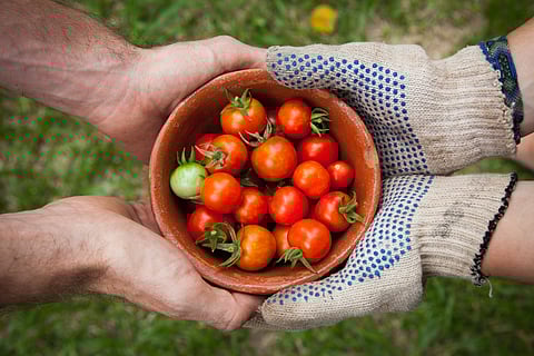 Seminar on 'Sustainable Agriculture and India's Food Security' – Register Now!