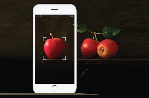 A pioneering technology-led future for horticulture farmers