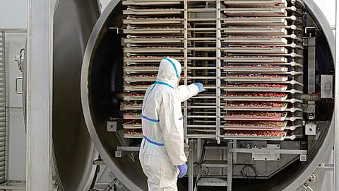 GEA RAY batch freeze dryer with freeze dried strawberries