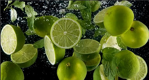 LANXESS Flavors & Fragrances business unit announces global price increase