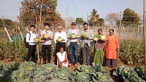 J-Methods Farming – A win-win concept to improve agricultural productivities in India with Japan's agricultural technologies