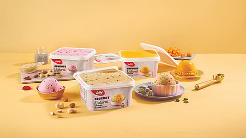 Vadilal Enterprises unveils new Gourmet Natural ice-cream range