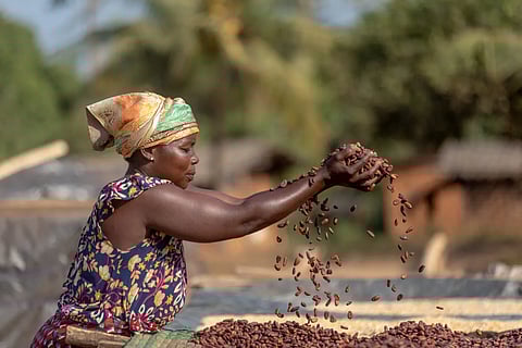 CARE, The Starbucks Foundation & Cargill to support Côte d'Ivoire’s cocoa-growing communities
