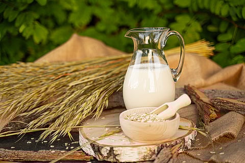 In the field of plant-based drinks, Krones focuses on the production of oat-based drinks, offering three different process variants.