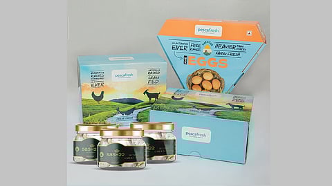 Pescafresh raises a Pre-Series A1, $ 2 million in funding led by UK-based Elara India Opportunities Fund