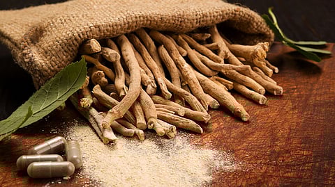 Kerry completes acquisition of botanical extract company Natreon