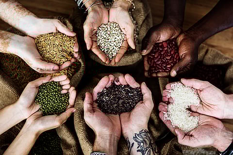 APEDA signs MoU with NRDC to boost Agri export value chain