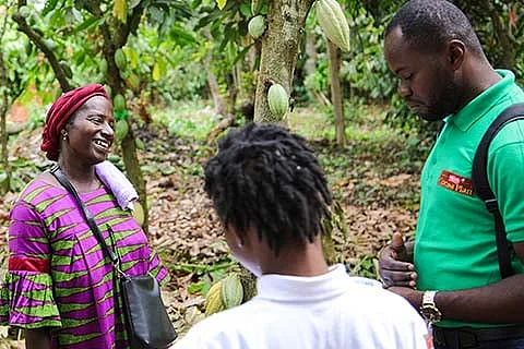 Nestlé reports further progress toward deforestation-free cocoa