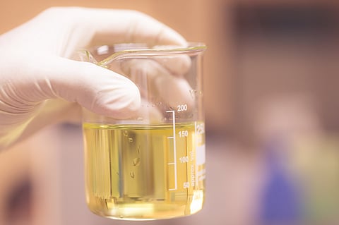 Toyo-Morton presents new bio-based, high-solids laminating adhesives