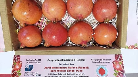 25 products showcased at GI Pavilion set up by DPIIT at AAHAR 2022