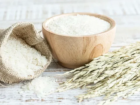 Roquette launches a new rice protein