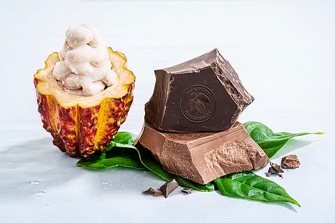 Barry Callebaut confirms no salmonella-positive chocolate entered the retail food chain