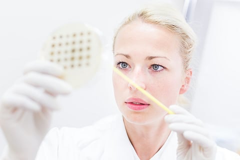 LANXESS completes acquisition of IFF’s microbial control business
