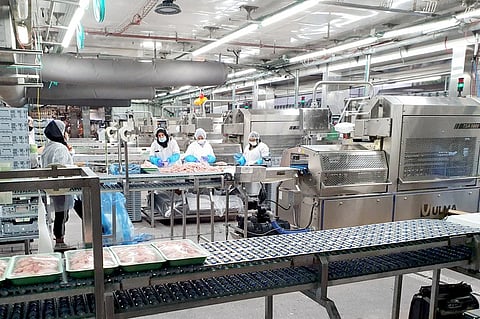 OF TOV chooses ULMA Packaging to install 10 new packaging lines in two of its production centers in Israel