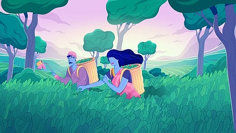 Unilever announces completion of the sale of its Tea business, ekaterra, to CVC Capital Partners Fund VIII