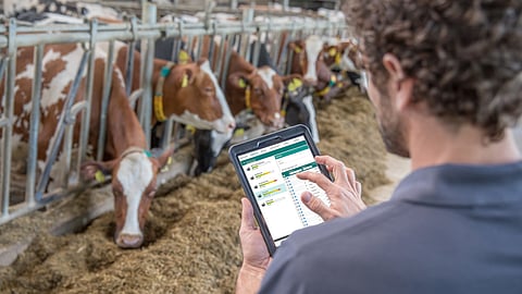 The upcoming interface from GEA and UNIFORM-Agri will provide compatibility of both herd management systems