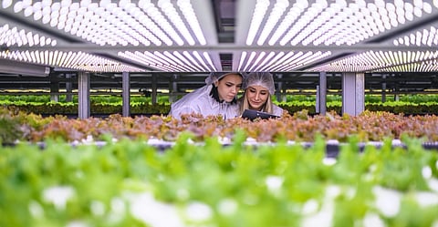 Image for representation purpose only