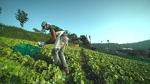 TraceX announces partnership with CannSol to offer traceable nutraceuticals