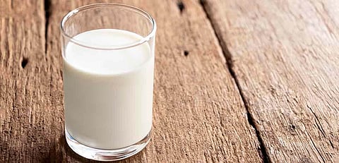 Nestlé explores emerging technologies for animal-free dairy proteins