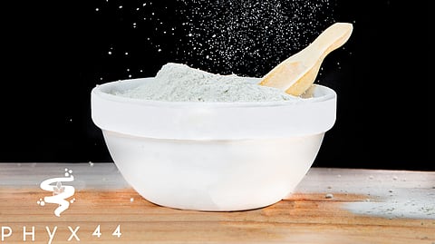 Animal-free whey protein powder